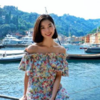 นักแปลgingerina