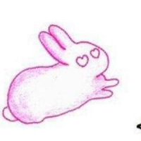 นักแปลrabbit_translator