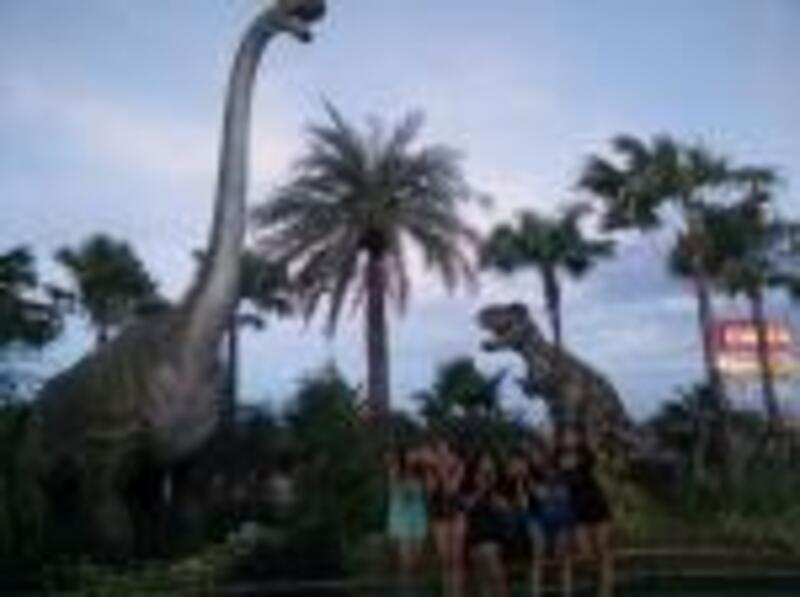 ลูกค้าღ♔ning♔ღ