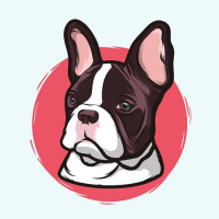 นักแปลMinifrenchie