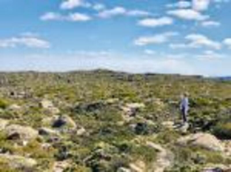 ลูกค้า716517