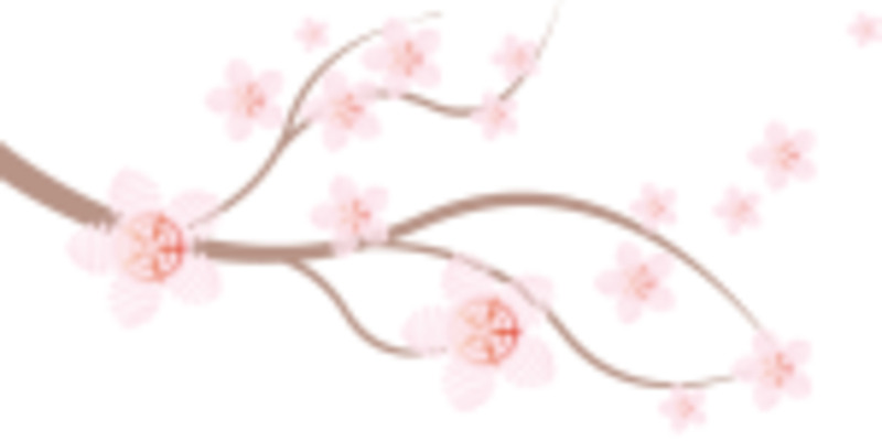 ลูกค้า625171