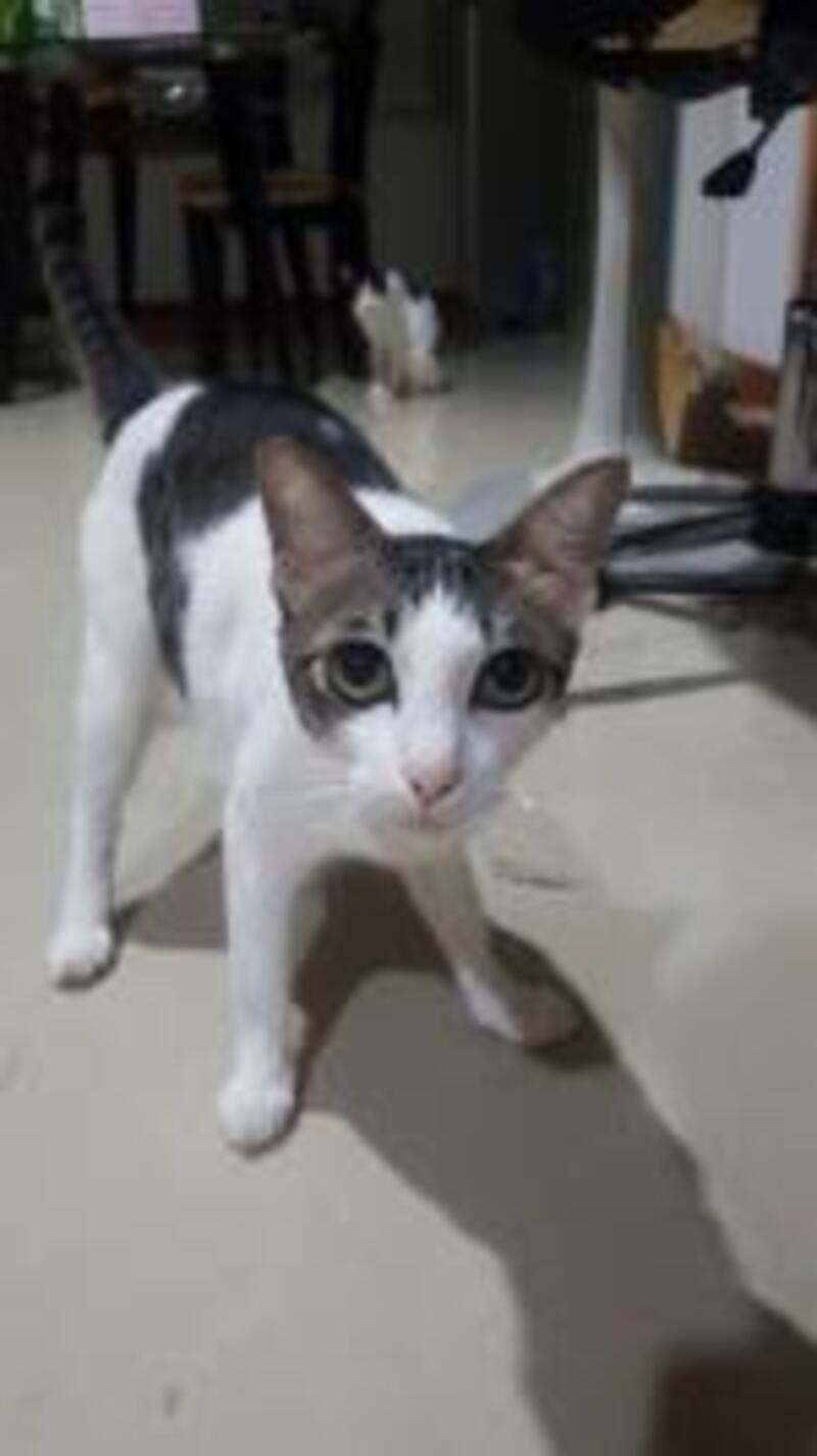 ลูกค้าNat