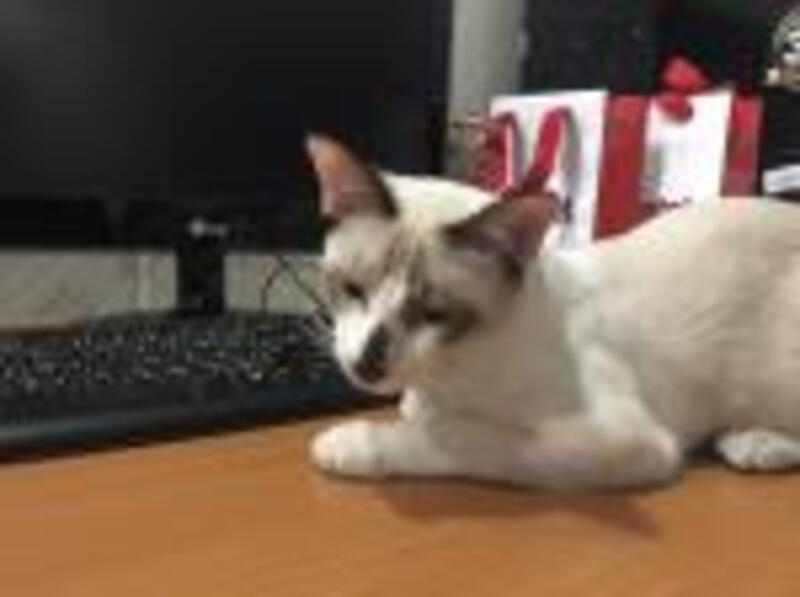 ลูกค้า834934