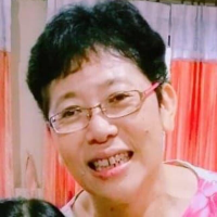 นักแปลตู่