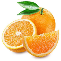 นักแปลOrangeMania