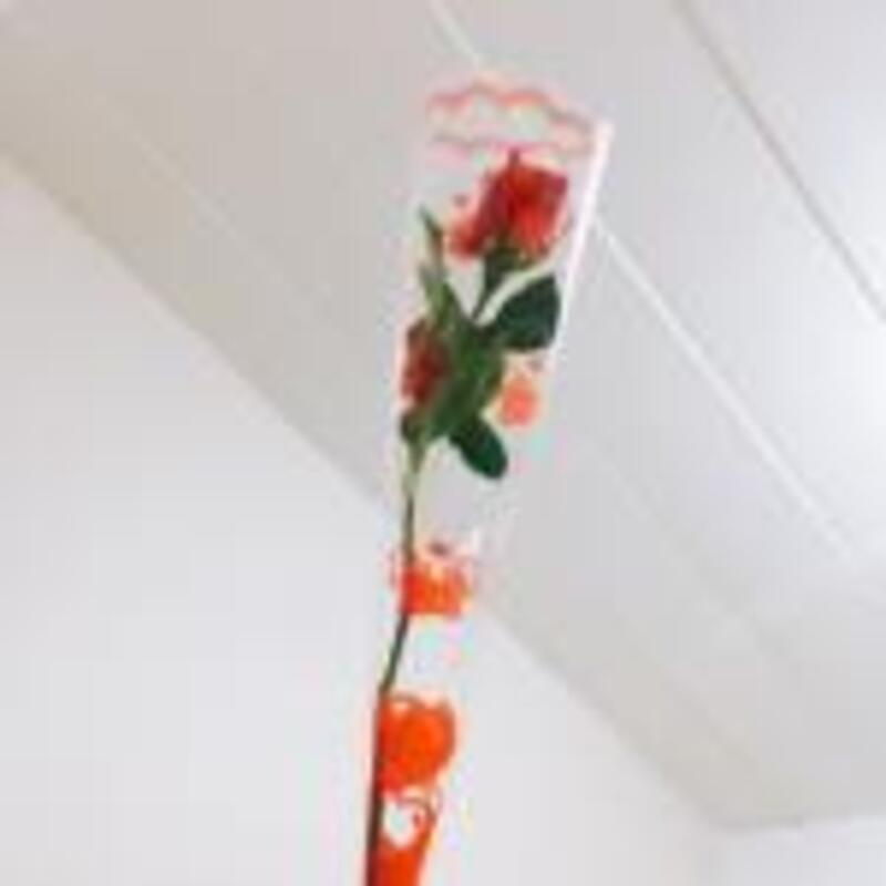 ลูกค้ามะหมวย