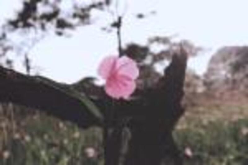 ลูกค้า397718